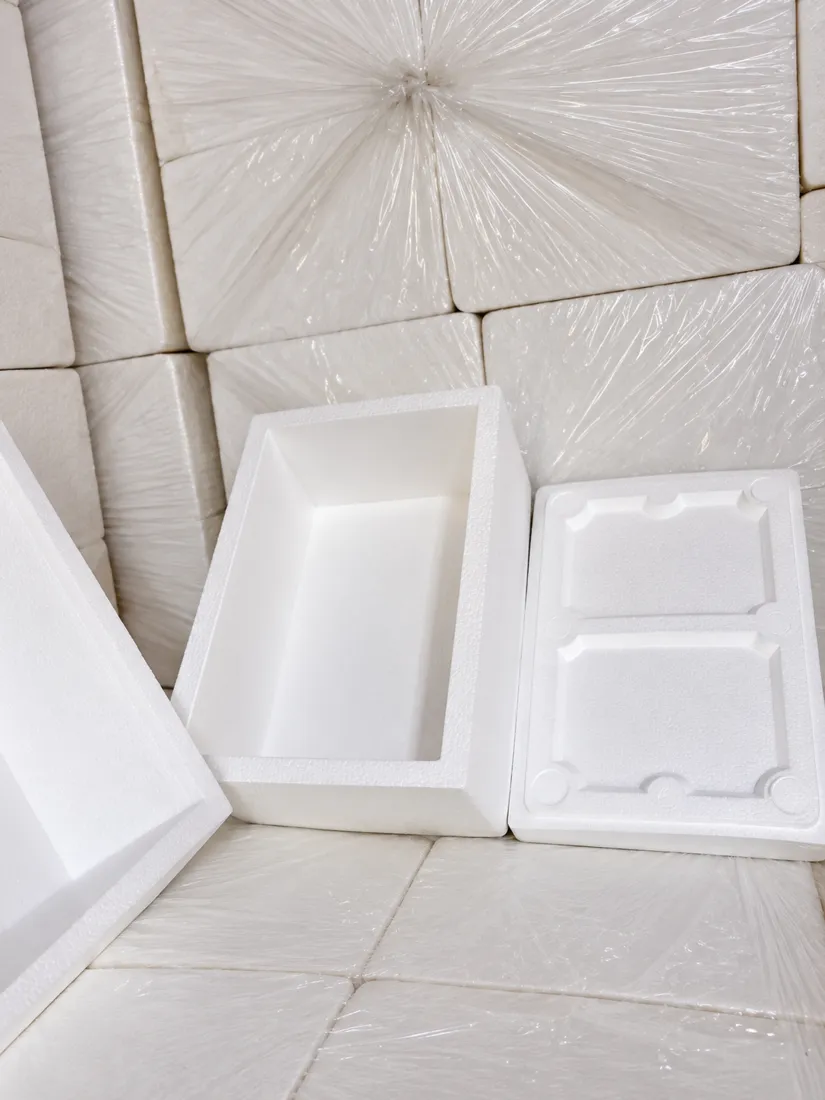 Fish Box 10 kg (Medium) EPS packaging mould by TKG
